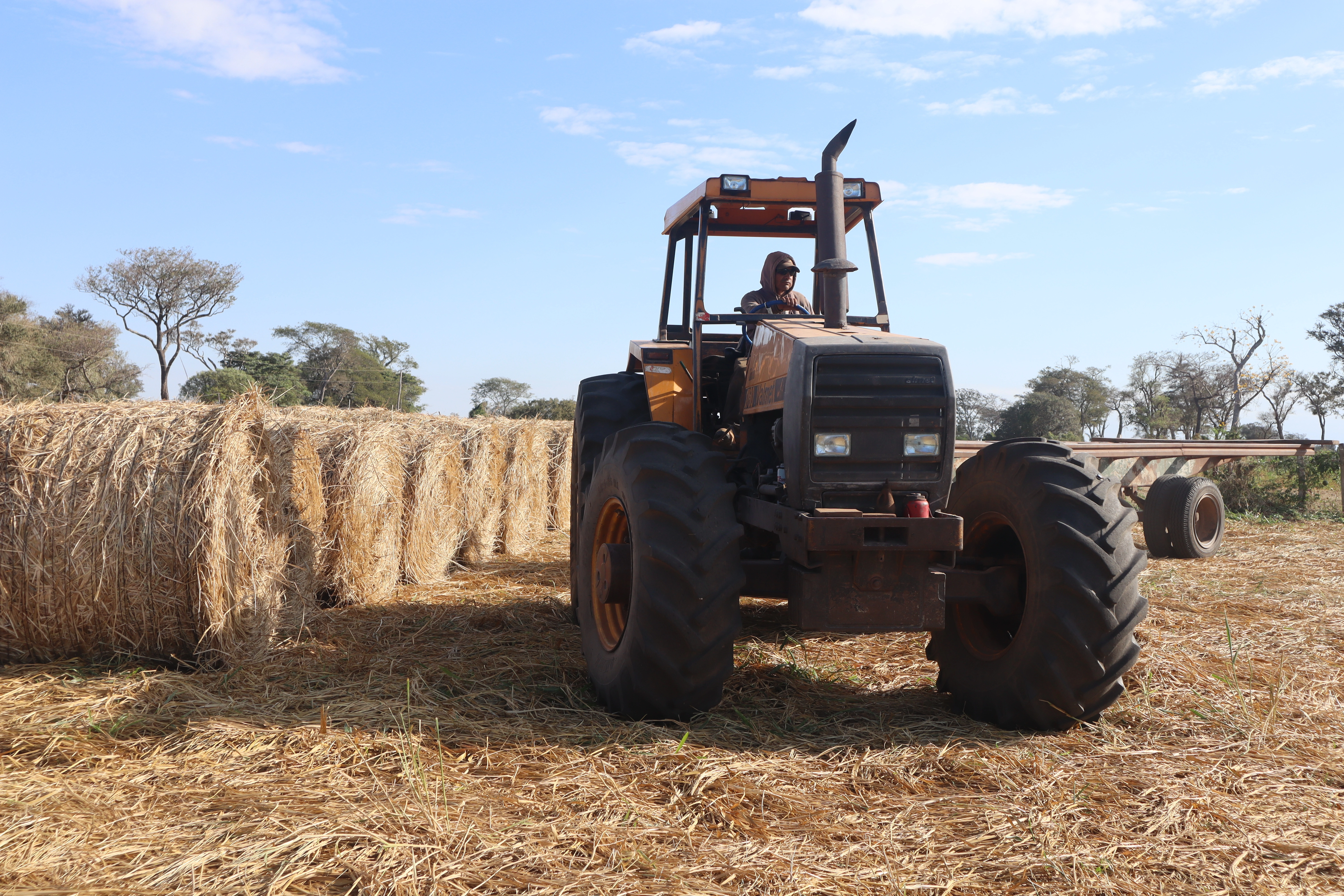 Establece tu disponibilidad