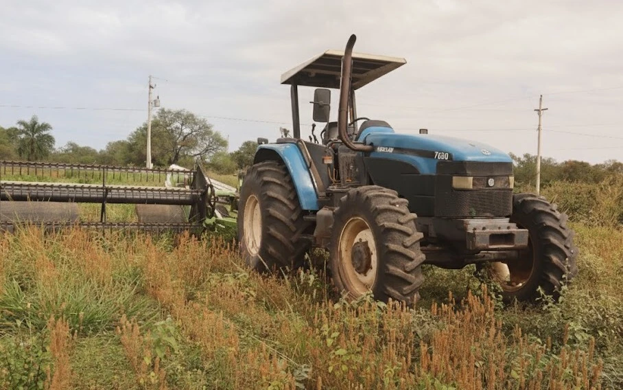 Vista previa de marketing de WordPress