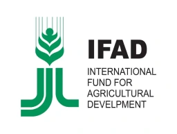 iFad